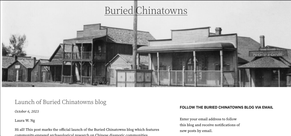 Screenshot of Buried Chinatowns homepage